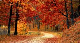 Роструд напомнил, что в начале ноября граждан России ждут длинные выходные