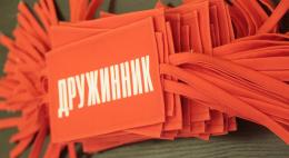 В регионе создано 187 народных дружин общей численностью 1391 человек