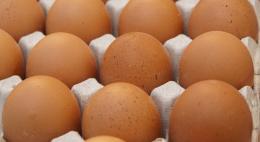 Какие продукты перед приготовлением лучше не мыть?