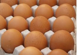 Какие продукты перед приготовлением лучше не мыть?
