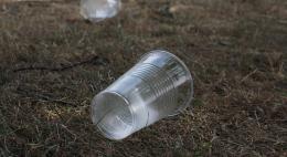 Пластиковую посуду запретят использовать в Евросоюзе