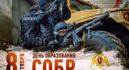 Директор Росгвардии генерал армии Виктор Золотов поздравил личный состав и ветеранов спецподразделений с Днем СОБР