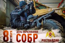 Директор Росгвардии генерал армии Виктор Золотов поздравил личный состав и ветеранов спецподразделений с Днем СОБР