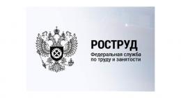 Роструд запустил бесплатный сервис для профтестирования