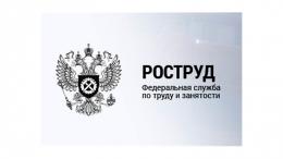 Роструд запустил бесплатный сервис для профтестирования