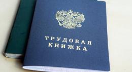 Пенсионный фонд оцифровал все трудовые книжки россиян, опередив принятие закона Минтруда 