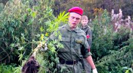 Полицейские и волонтеры региона уничтожили 358 кустов дикорастущей конопли
