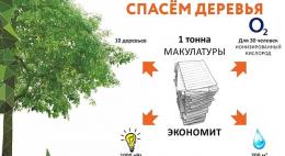 С 18 сентября по 7 октября в Псковской области пройдет эко-марафон «Сдай макулатуру — спаси дерево»