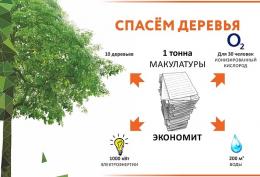 С 18 сентября по 7 октября в Псковской области пройдет эко-марафон «Сдай макулатуру — спаси дерево»