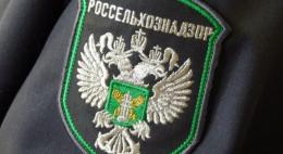 В Псковской области запрещен ввоз семян газонных трав из Республики Беларусь в связи с нарушением фитосанитарного законодательства