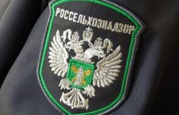 В Псковской области запрещен ввоз семян газонных трав из Республики Беларусь в связи с нарушением фитосанитарного законодательства