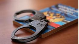 Уголовное дело по факту халатности в отношении псковского полицейского поручил возбудить Александр Бастрыкин 