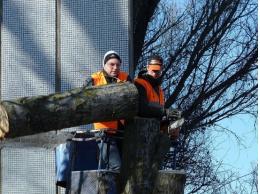 В Псковской области ликвидируют последствия урагана