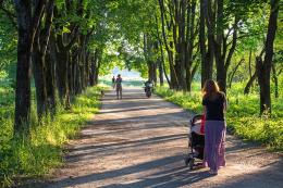 Голосование за общественные территории, подлежащие первоочередному благоустройству, пройдет в Пскове с 25 по 28 февраля