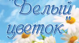 В Великих Луках пройдет благотворительная акция «Белый цветок» в рамках празднования дня города