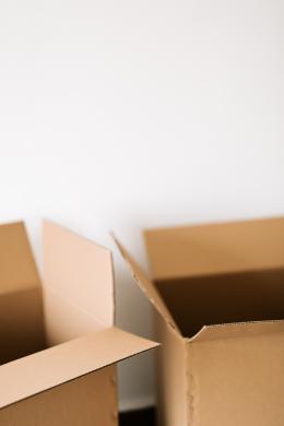 152 коробки с немаркированной табачной продукцией обнаружили сотрудники Псковской таможни
