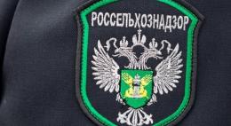 В Псковской области увеличился экспорт животноводческой продукции