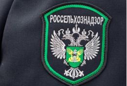 В Псковской области увеличился экспорт животноводческой продукции