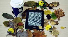 Для жителей Усвятского района открыт доступ к более 300 тысячам книг электронной библиотеки «ЛитРес»