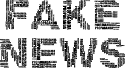 О распространении фейковой новости предупреждает администрация Великих Лук 