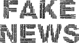 О распространении фейковой новости предупреждает администрация Великих Лук 