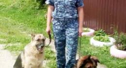 В Псковской области нашли двух местных жителей, заблудившихся в лесу
