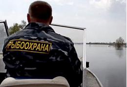 25 нарушений выявила псковская рыбоохрана за прошедшую неделю