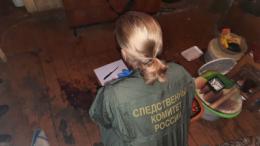 Женщина подозревается в убийстве знакомого в городе Дно