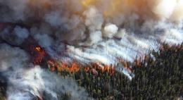 Воздушное судно для обнаружения лесных пожаров наймет Псковская область  до середины осени