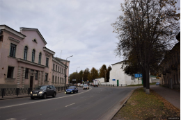 Депутаты города выступают за сохранение деревьев вдоль улицы Леона Поземского