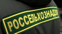 32 случая несвоевременного извещения о поступлении продукции на торговые площадки Псковской области выявил Россельхознадзор с начала года
