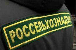 32 случая несвоевременного извещения о поступлении продукции на торговые площадки Псковской области выявил Россельхознадзор с начала года
