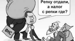 Пакет законов о введении налога для самозанятых подписал президент РФ