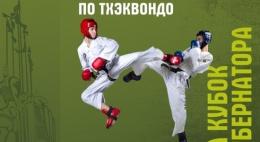 Всероссийский турнир по тхэквондо пройдет в Пскове