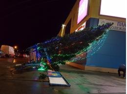 В Пскове упала новогодняя елка