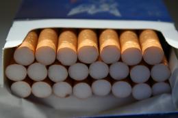 Почти 600 пачек незаконной табачной продукции изъяли псковские пограничники