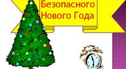О дополнительных мерах безопасности в период проведения новогодних и рождественских праздников распорядился губернатор региона