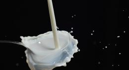 Разбавленную водой молочную продукцию нашли в псковских магазинах