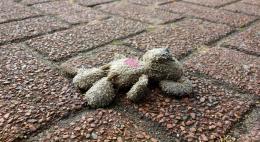 Водитель ВАЗа в Великих Луках сбил 14-летнюю девочку