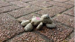 Водитель ВАЗа в Великих Луках сбил 14-летнюю девочку
