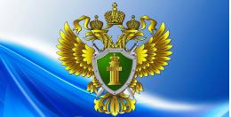 Прокуратура проверит псковскую колонию после самоубийства заключенного в болезненном состоянии