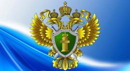 Прокуратура проверит псковскую колонию после самоубийства заключенного в болезненном состоянии