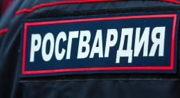 Около 1500 сотрудников полиции и Росгвардии будут следить за общественным порядком на площадках 39-х Международных Ганзейских дней