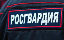 Около 1500 сотрудников полиции и Росгвардии будут следить за общественным порядком на площадках 39-х Международных Ганзейских дней
