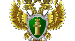 Два образовательных учреждения в Великих Луках скрывали информацию о своей деятельности