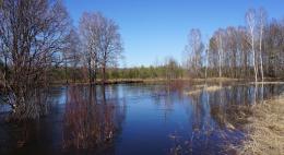 Затяжное половодье прогнозируют в Псковской области 