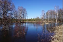 Затяжное половодье прогнозируют в Псковской области 
