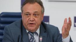РСТ оценил предложение о выдаче «новогодних виз» иностранцам
