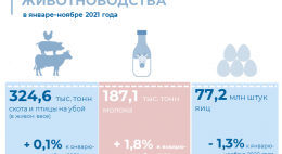 О производстве продукции животноводства в январе-ноябре 2021 года
