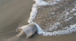 В Псковской области убрали около 18 км береговой линии водных объектов